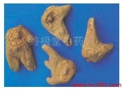 成飛中藥行中成藥產(chǎn)品相冊(cè)圖片介紹